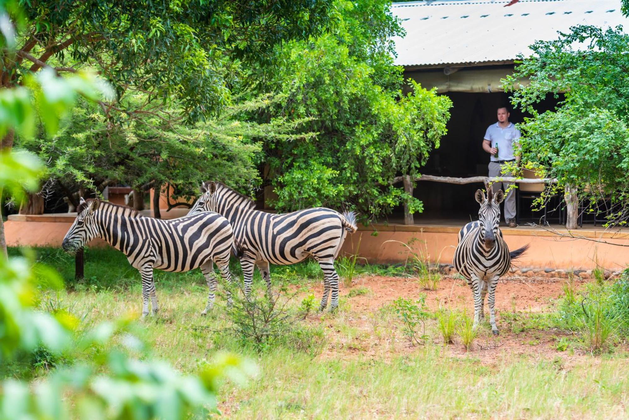 Buffalo Thorn Bed & Breakfast Bed & Breakfast Hluhluwe Exterior photo